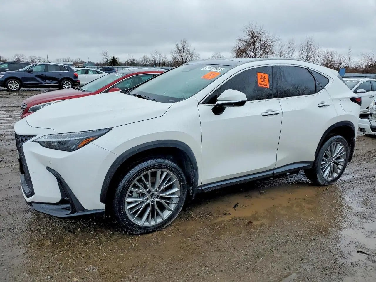 2T2GKCEZ3PC012026-2023-Lexus-Nx – Trash Cars Blog