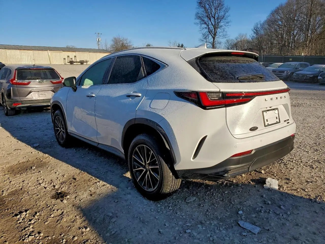 2T2GGCEZ5TC104363 - 2026 Lexus Nx – Trash Cars Blog