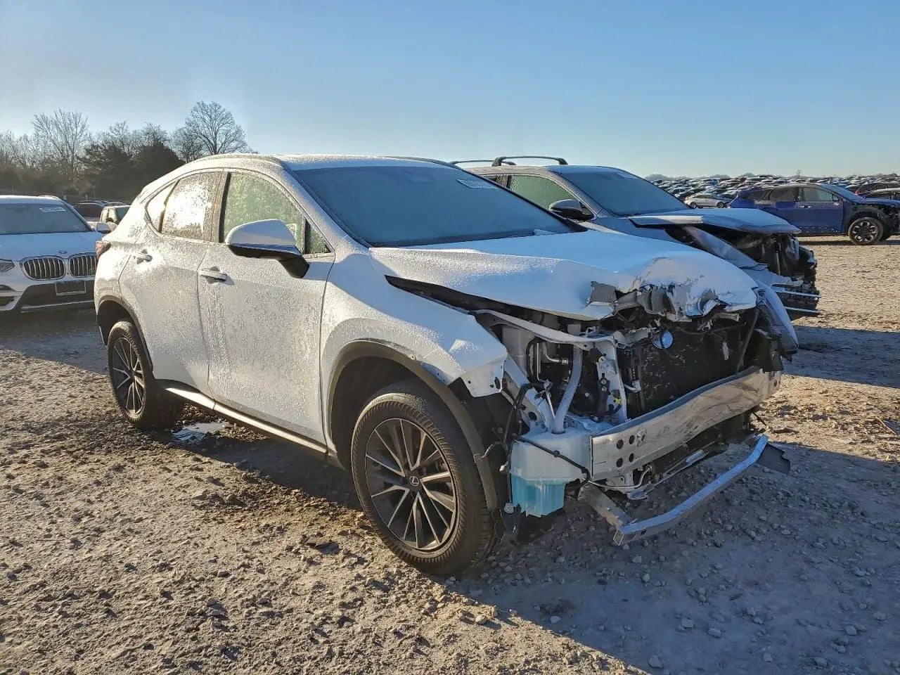 2T2GGCEZ5TC104363 - 2026 Lexus Nx – Trash Cars Blog