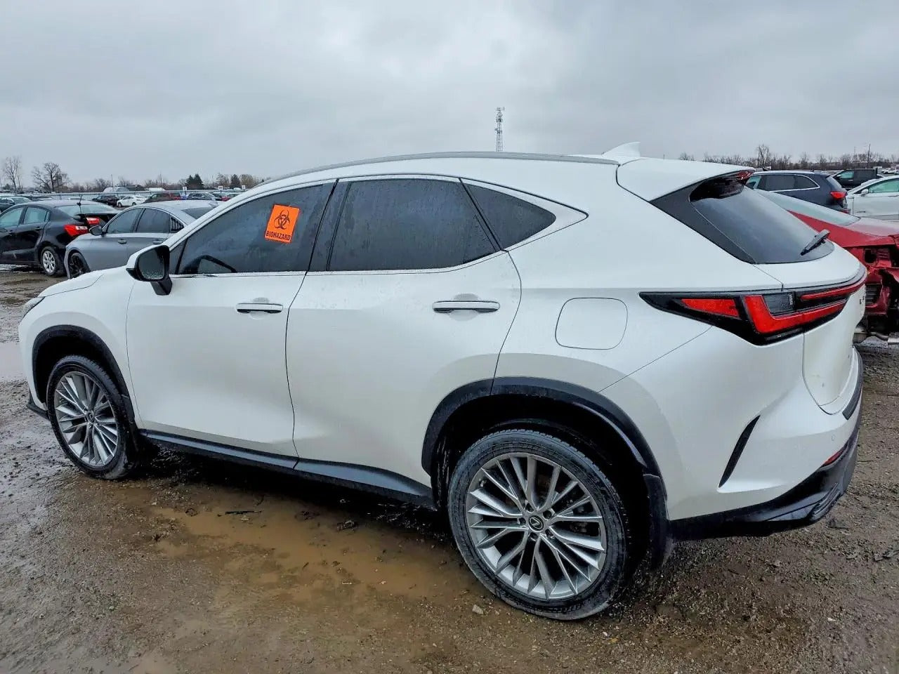 2T2GKCEZ3PC012026-2023-Lexus-Nx – Trash Cars Blog