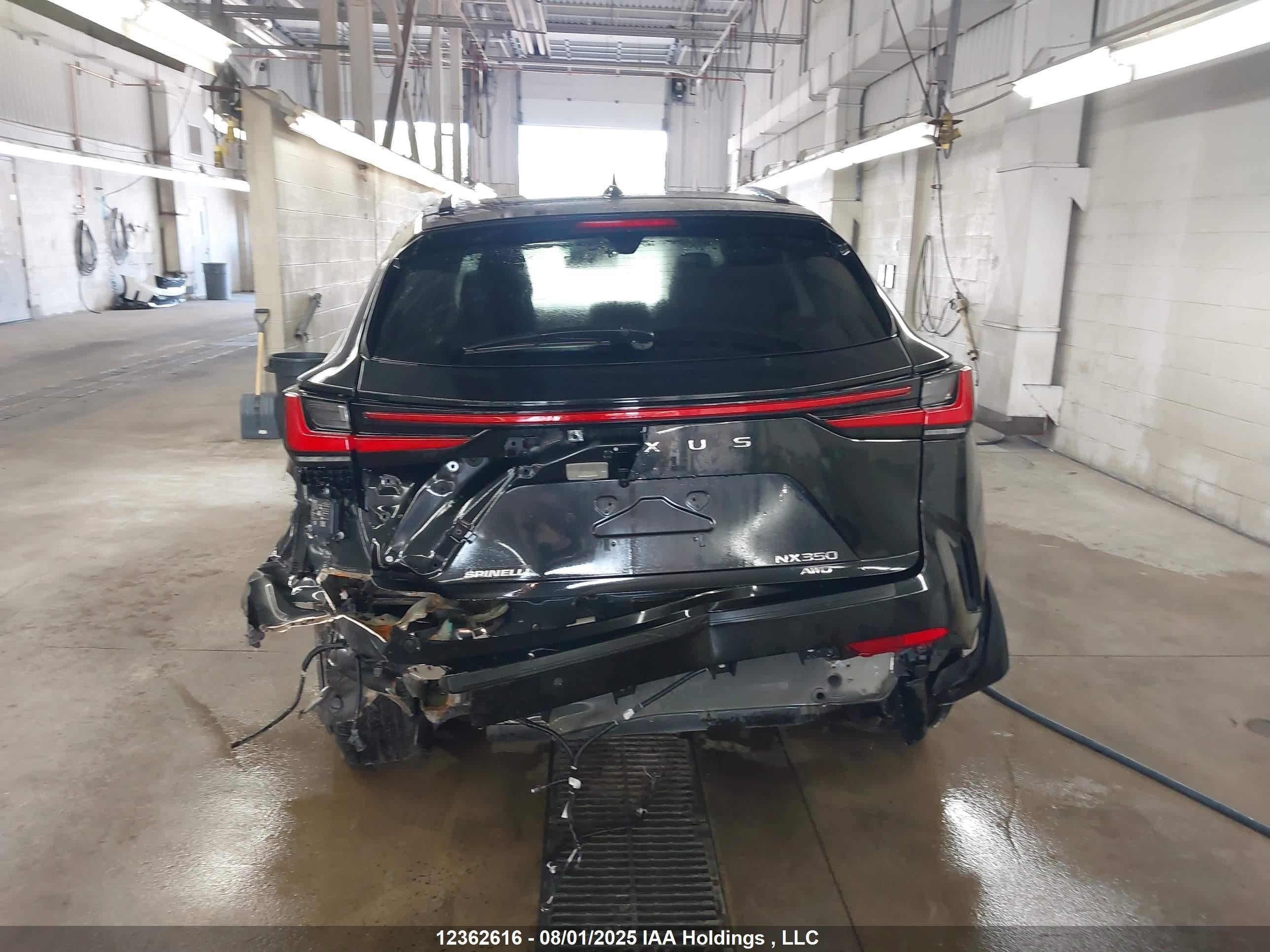 2T2KGCEZ5NC009542 - 2022 Lexus Nx – Trash Cars Blog