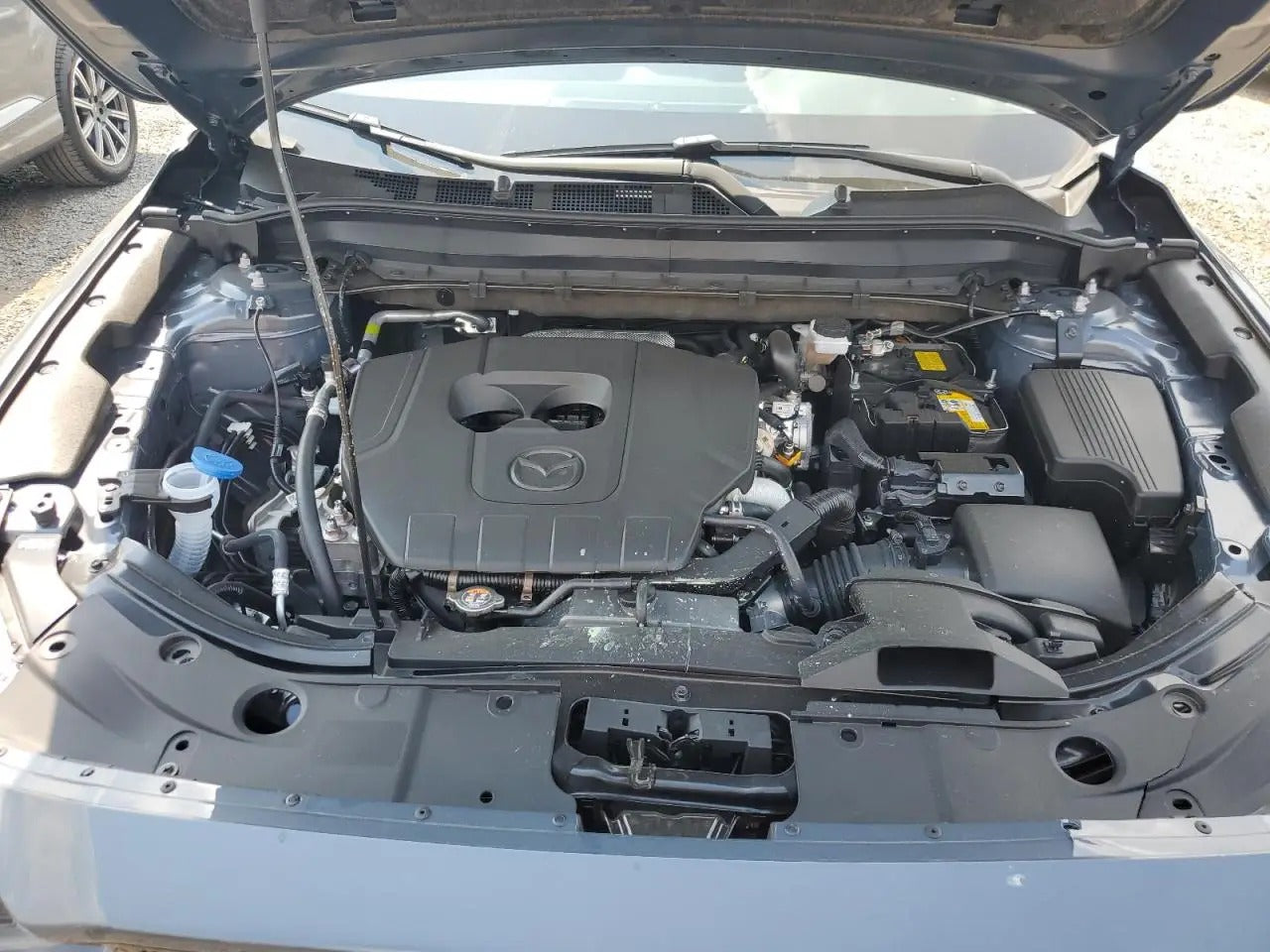 JM3KFBCMXS0655066-2025-Mazda-Cx-5 – Trash Cars Blog